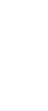 Traje Blanco